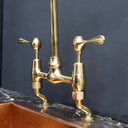 AquaPrime Kitchen Bridge Faucet - Brass For Homes - kitchen - faucets