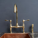 AquaPrime Kitchen Bridge Faucet - Brass For Homes - kitchen - faucets