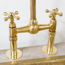 The Brass Bridge Kitchen Faucet With Sprayer - Brass For Homes - kitchen - faucets